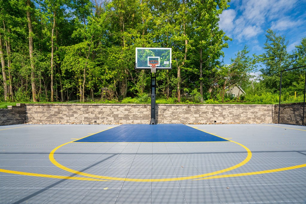 a basketball hoop on a blue court in front of trees
