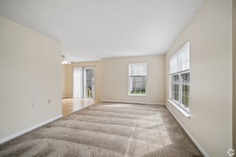 A spacious room with a carpeted floor and two windows.