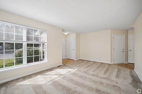 A room with a large rug and a window with blinds.