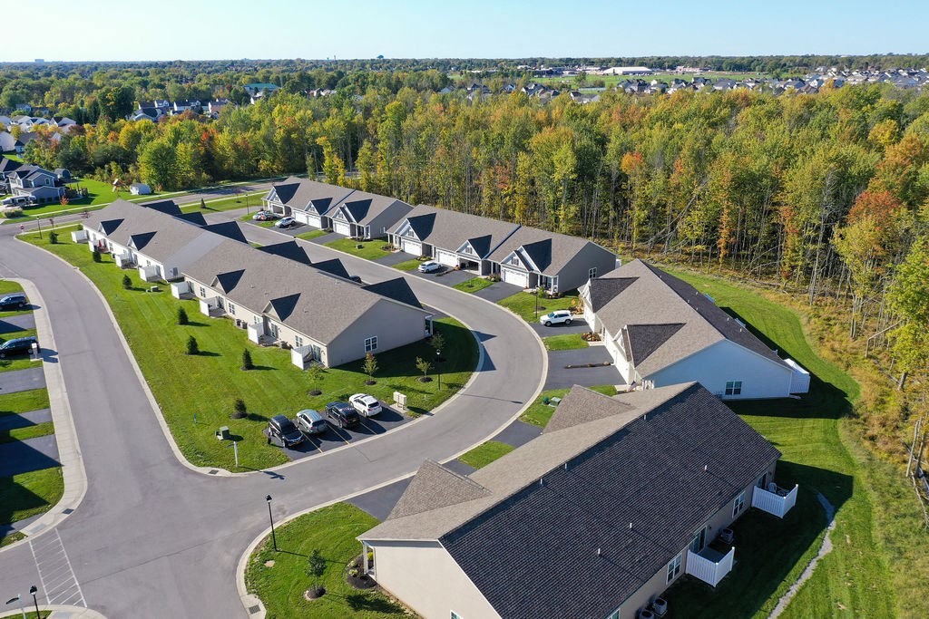 a group of houses in a neighborhood with trees