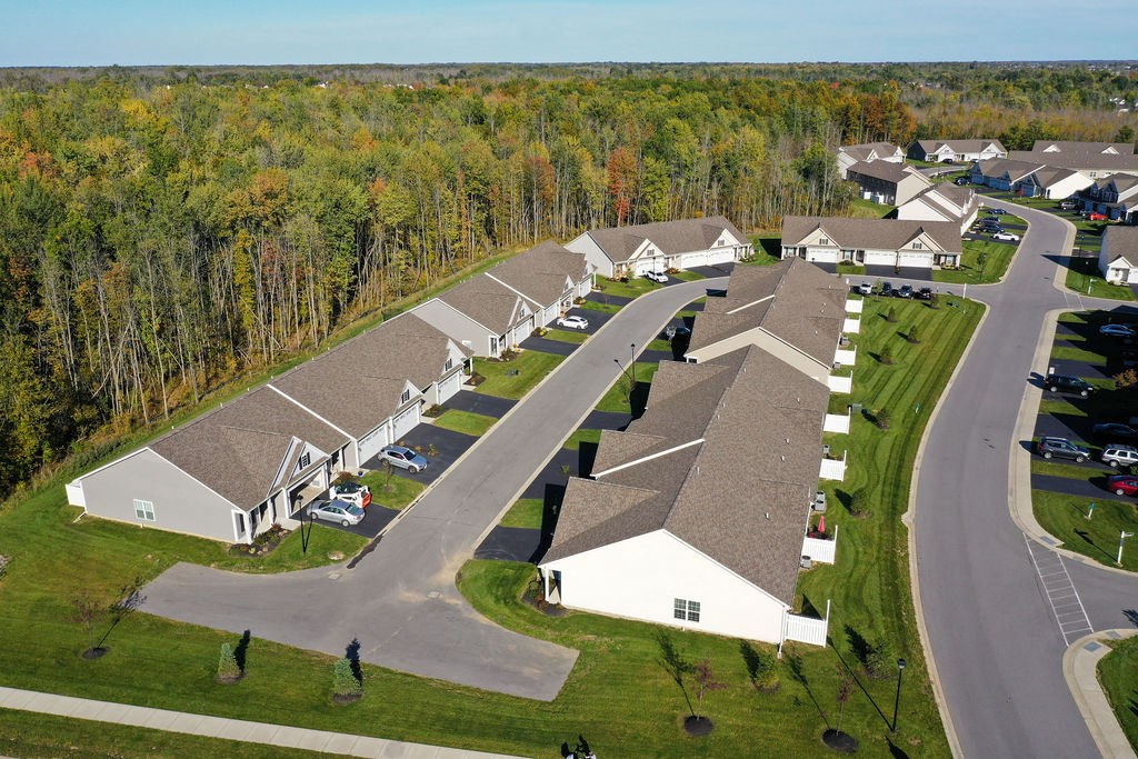 a aerial view of a neighborhood of houses and trees