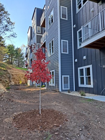 Apartment finishes, stainless steel appliances brand new apartment homes, Wisconsin Dells, Wisconsin Homes - Photo Gallery 3