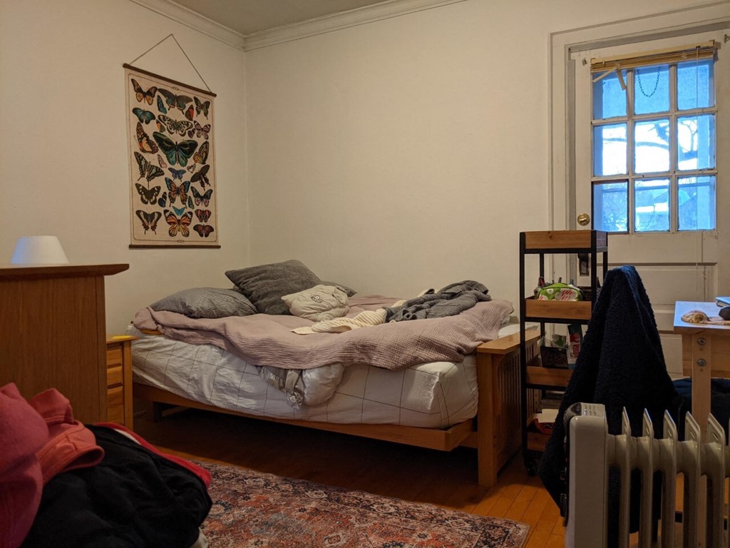 A bedroom with a bed, a radiator, and a rug.