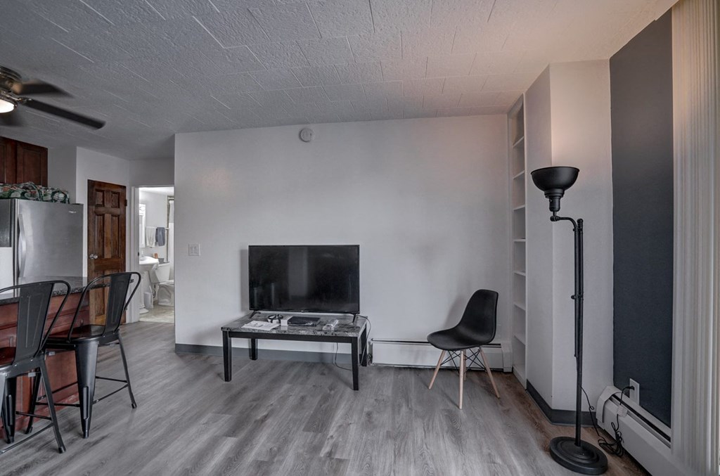 Surf and Surfside apartments and townhomes in Downtown Madison, WI. Fully Furnished, studio, one bedroom, 2 bedroom. Lake views. Managed by Wisconsin Management Company