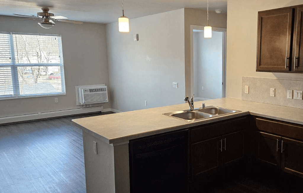 an empty kitchen with a sink and a window