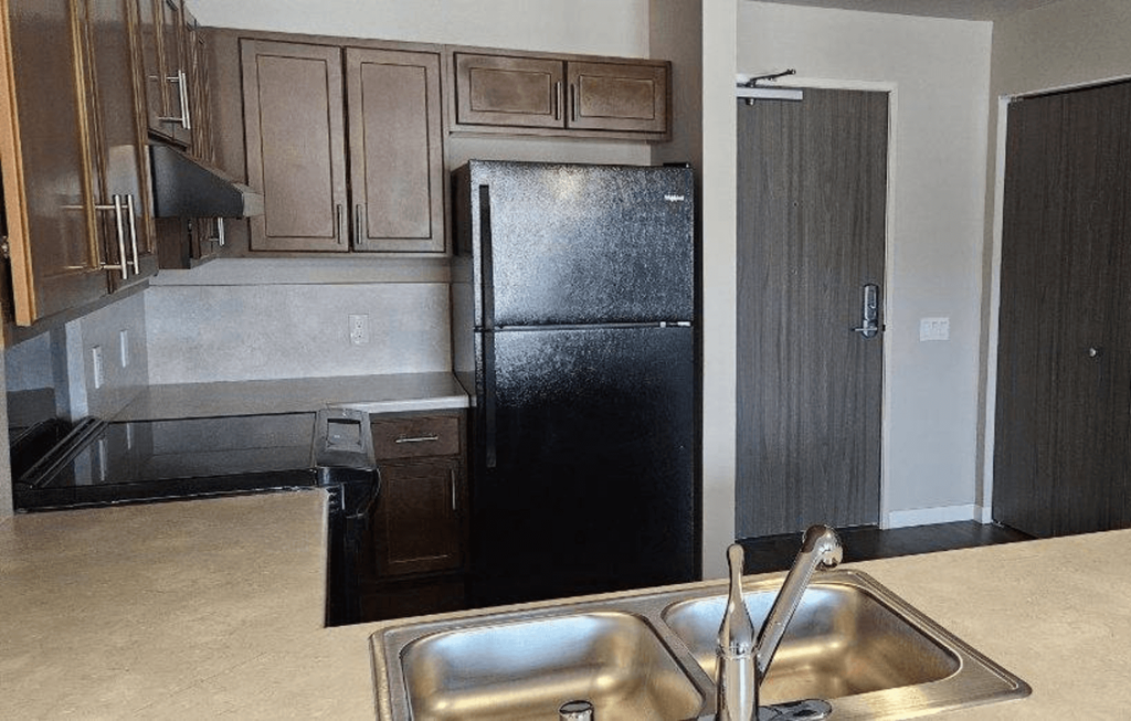 a kitchen with a black refrigerator and a sink