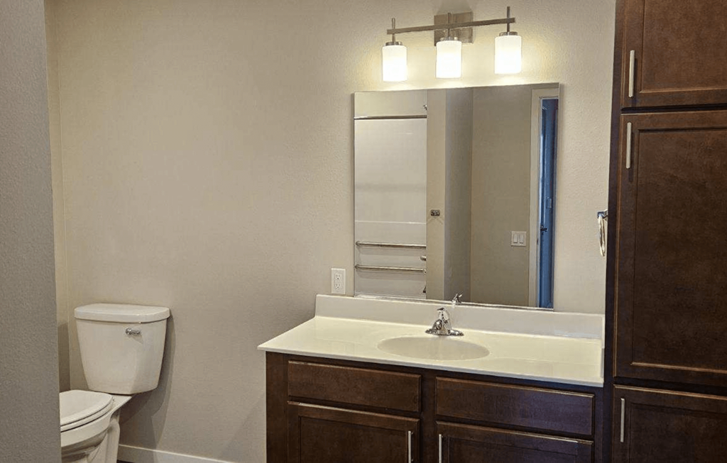a bathroom with a sink and a mirror and a toilet