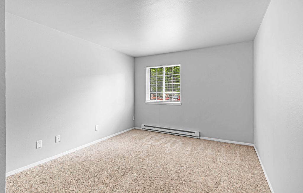 A room with a window and a carpeted floor.