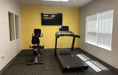 A gym room with a treadmill, a stationary bike, and a television.