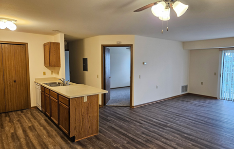 A kitchen with wooden cabinets and a countertop is shown.