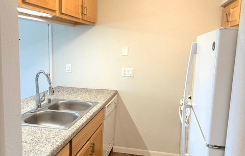 A kitchen with a sink and a refrigerator.