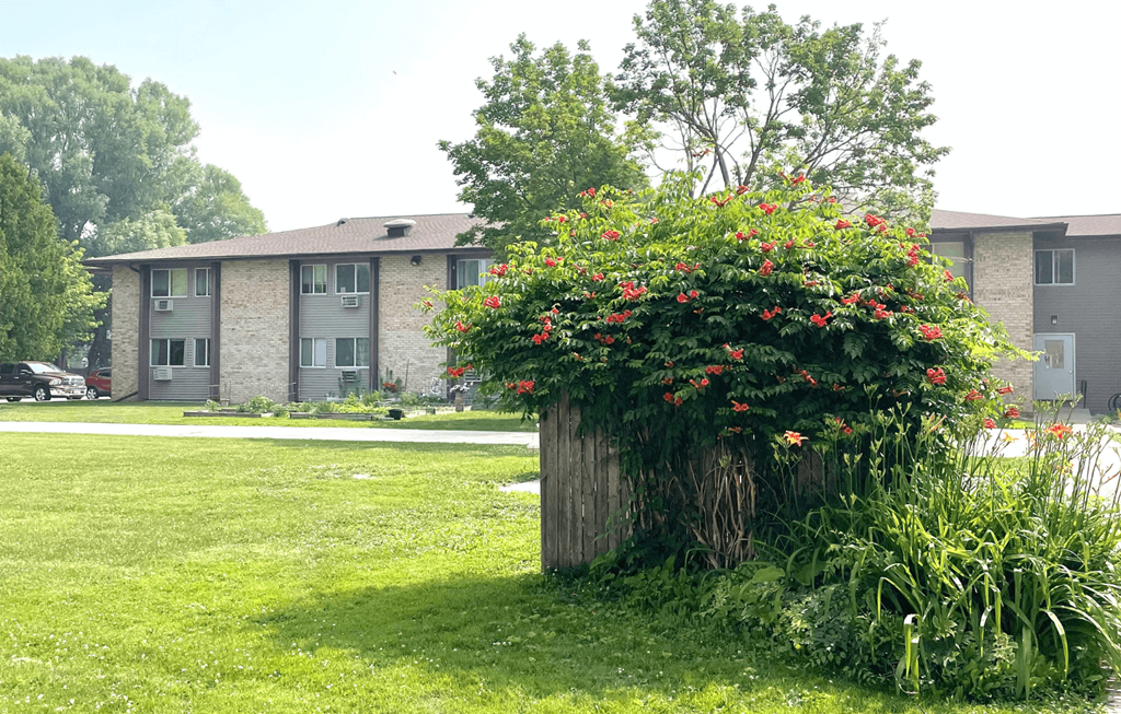 a large bush with red flowers in front of an apartment complex