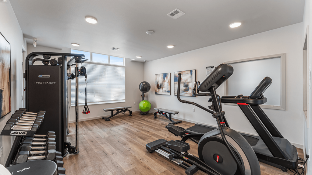 A home gym with a variety of equipment including a treadmill, a stationary bike, and a weight bench.