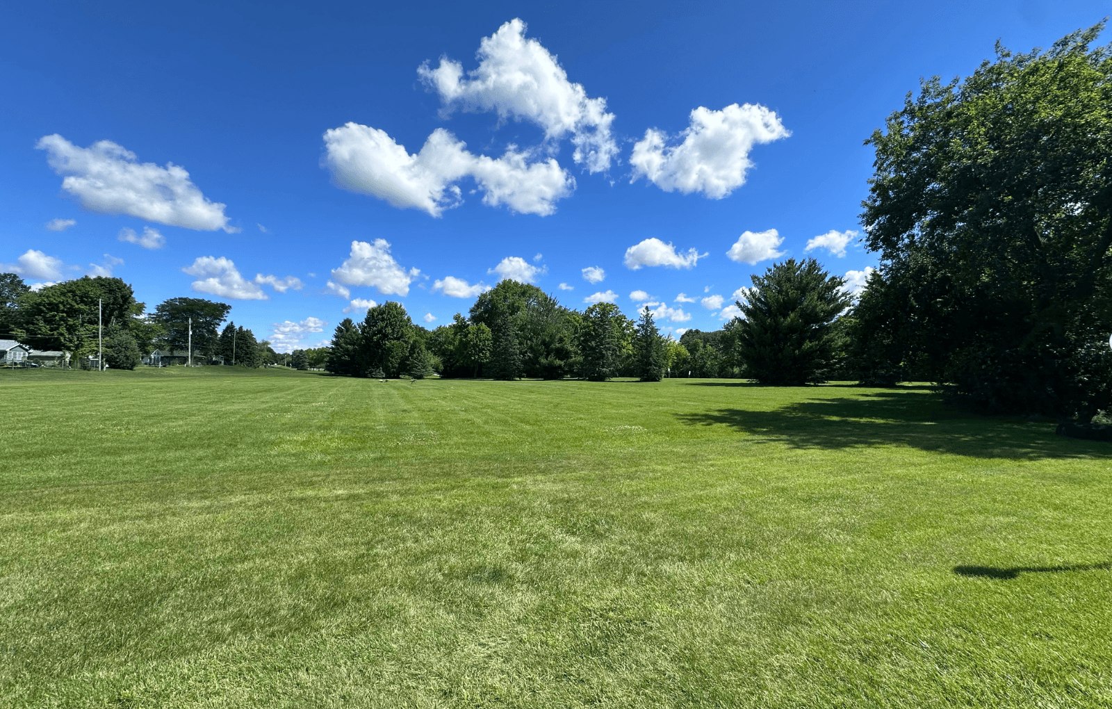 A large, open grassy field with trees in the distance and a blue sky above.