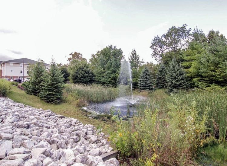 a fountain in the middle of a pond in a park