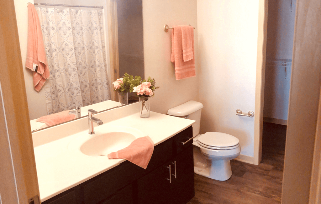 this is a photo of the bathroom in a 1 bedroom apartment at deer hill apartments in c