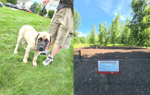 a man walking a dog on a leash in front of a sign that says dog park rules