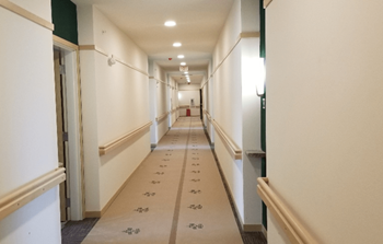 The Madisonian, Senior Housing in Madison WI. Affordable one bedroom apartments, two bedroom apartments and three bedroom townhomes. New building. No smoking. Managed by Wisconsin Management Company, 1829 Aberg Ave - Photo Gallery 6