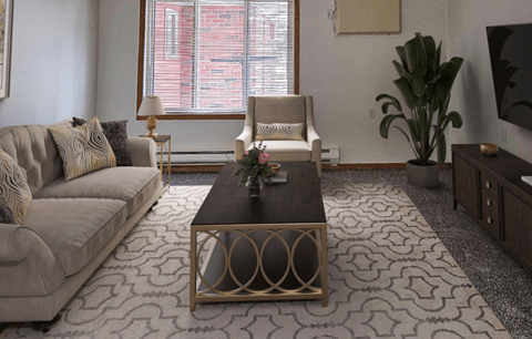 A living room with a grey couch, a coffee table, and a television.