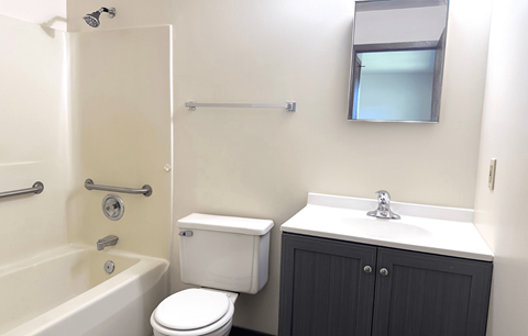 A white toilet sits next to a bathtub in a bathroom.