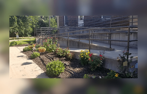 A garden with a variety of plants and flowers in the foreground and a metal fence in the background.