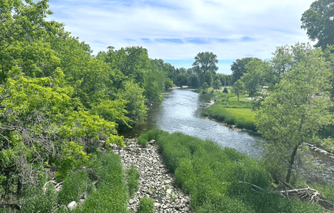 A river flows through a green forest.