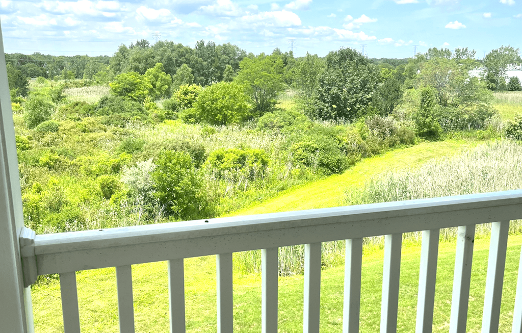 the view from the deck