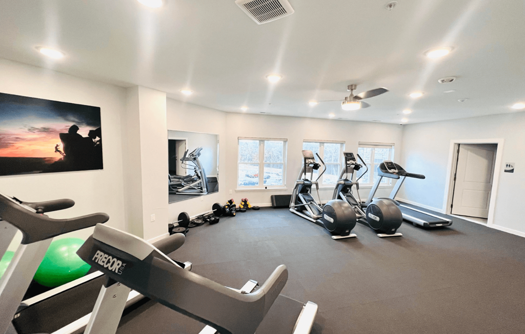 the gym is equipped with state of the art fitness equipment and a flat screen tv
