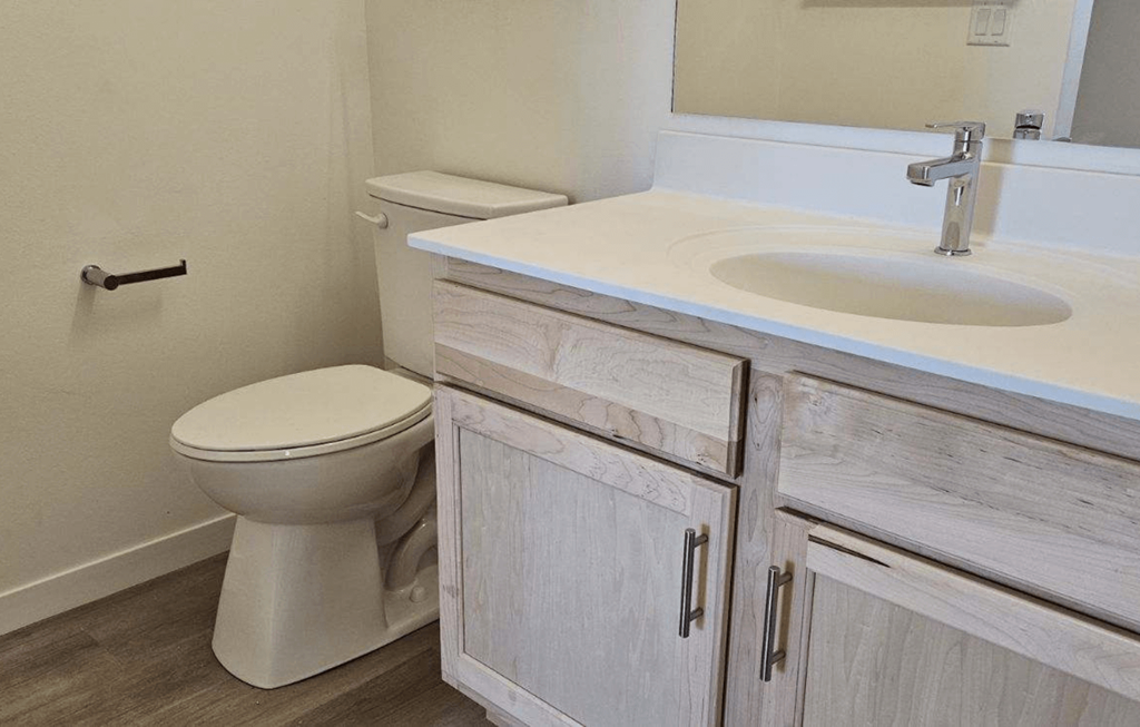 a bathroom with a toilet and a sink