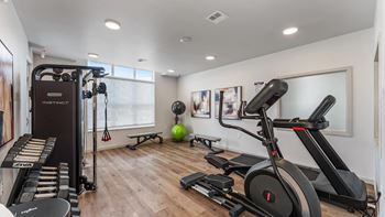 A home gym with a variety of equipment including a treadmill, a stationary bike, and a bench press.