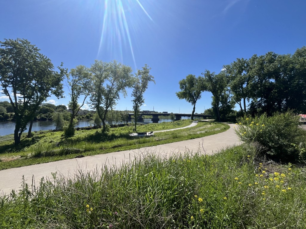 a path through a park next to a river