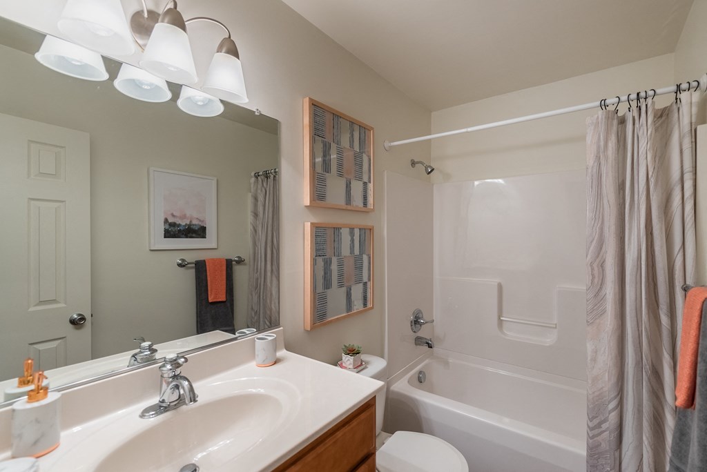 a bathroom with a sink and a shower and a bath tub