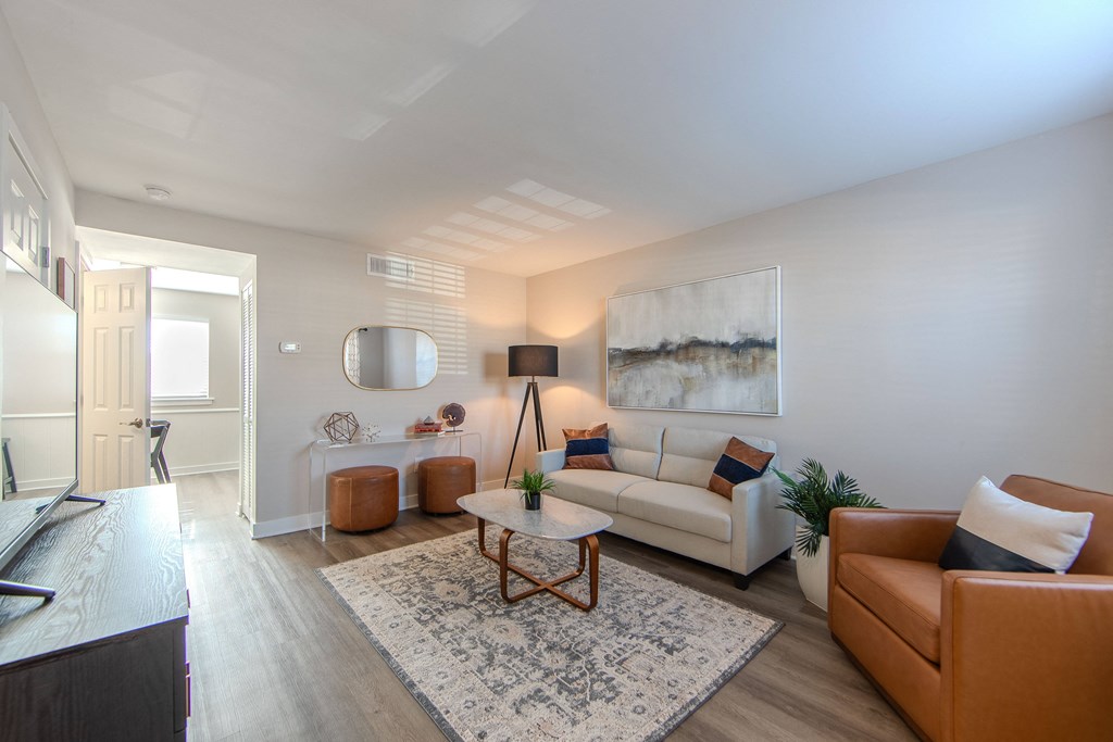 A living room with a white couch and a rug.