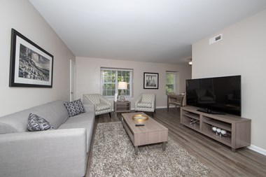 Living Room in Country Club Apartments in Williamsburg VA 