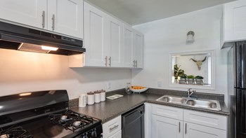 Model kitchen - Photo Gallery 2