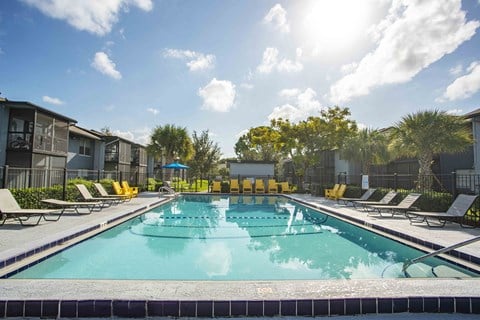 A swimming pool surrounded by sun loungers and trees.