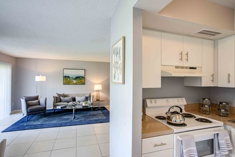 A modern kitchen with a blue rug and a living room with a grey sofa.