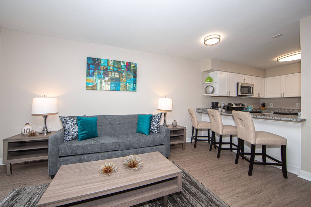 Spacious living room with granite bar countertop