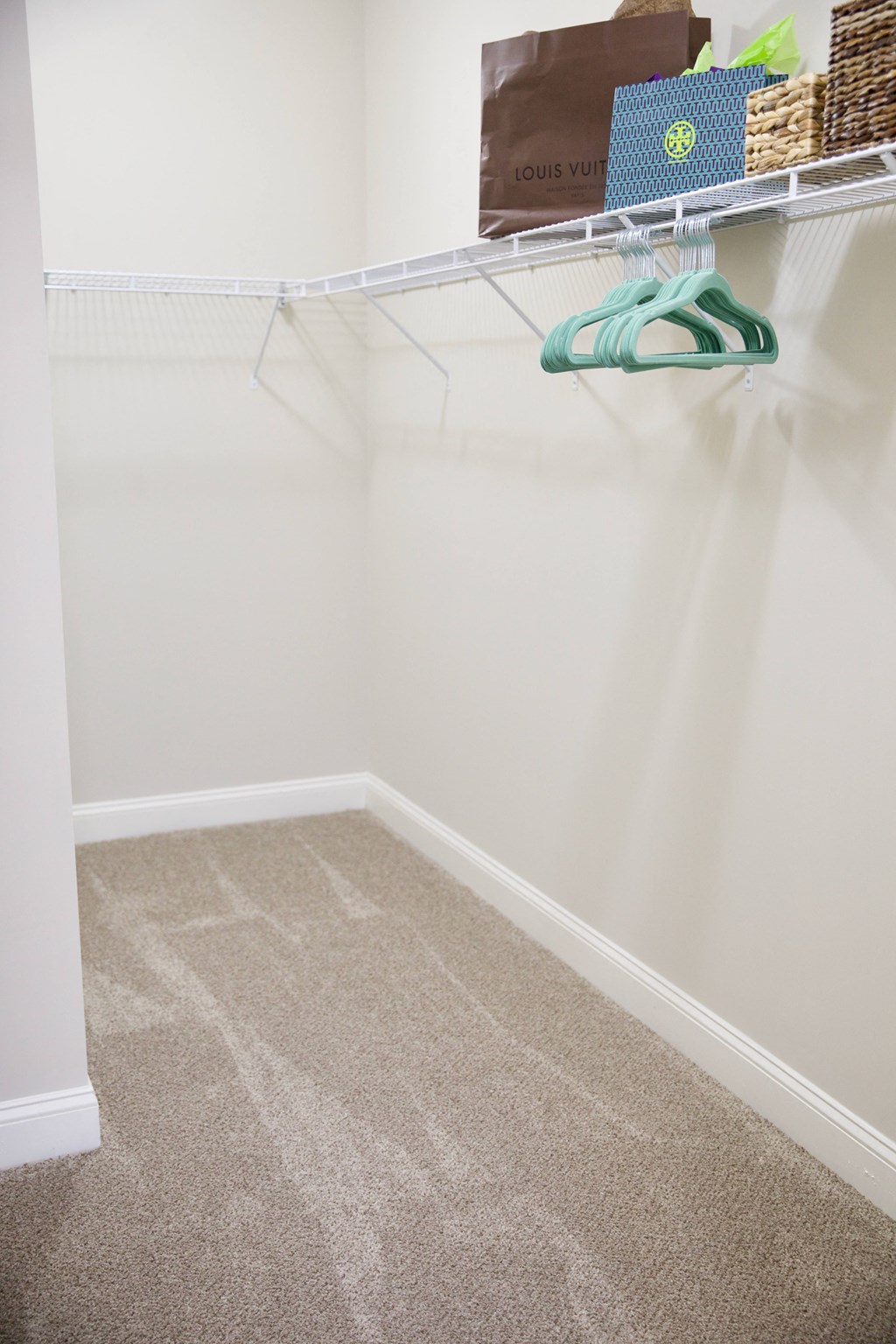 Azalea primary bedroom closet