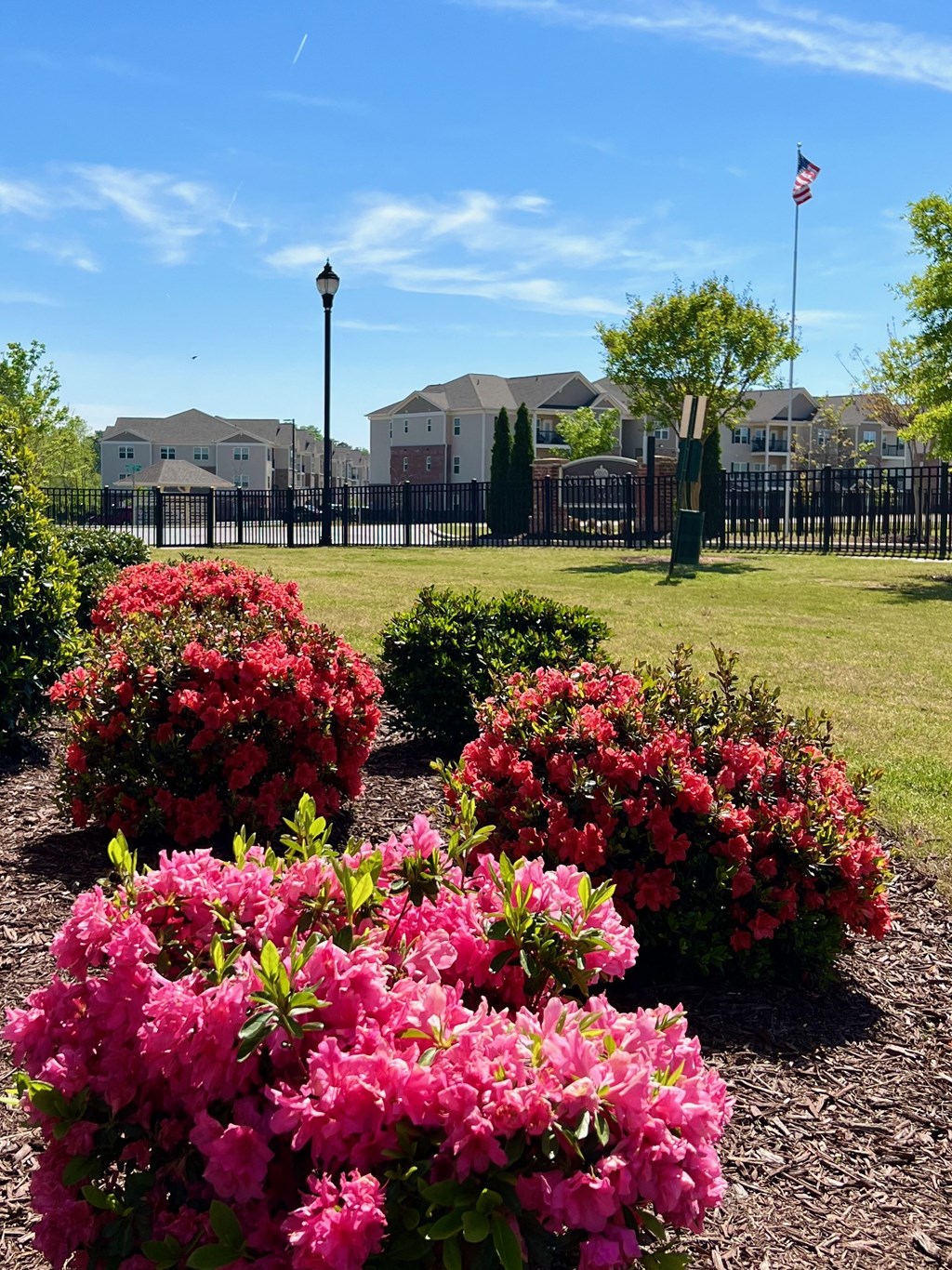 SPV Entrance in Spring