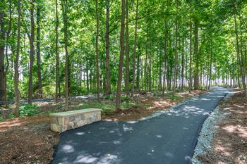 a bench in the middle of a path in the woods