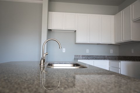 A kitchen sink with a faucet and a countertop.