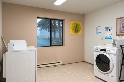 a laundry room with a washer and a dryer in it and a window