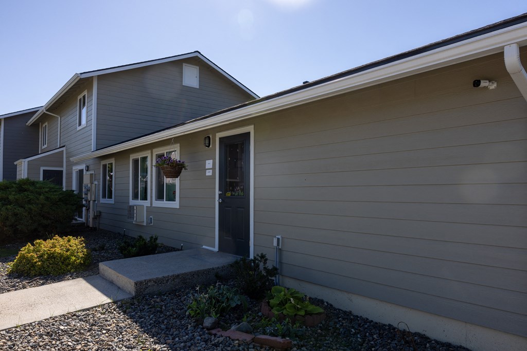 A house with a grey front and a small garden.