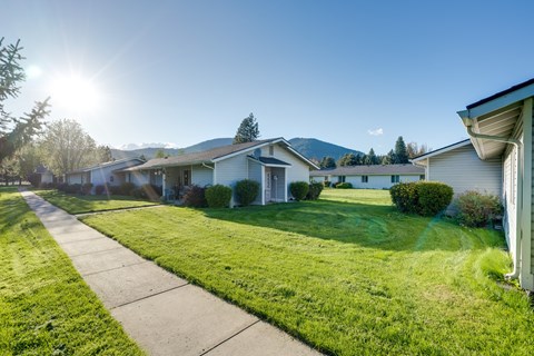 a row of houses with grass and a sidewalk