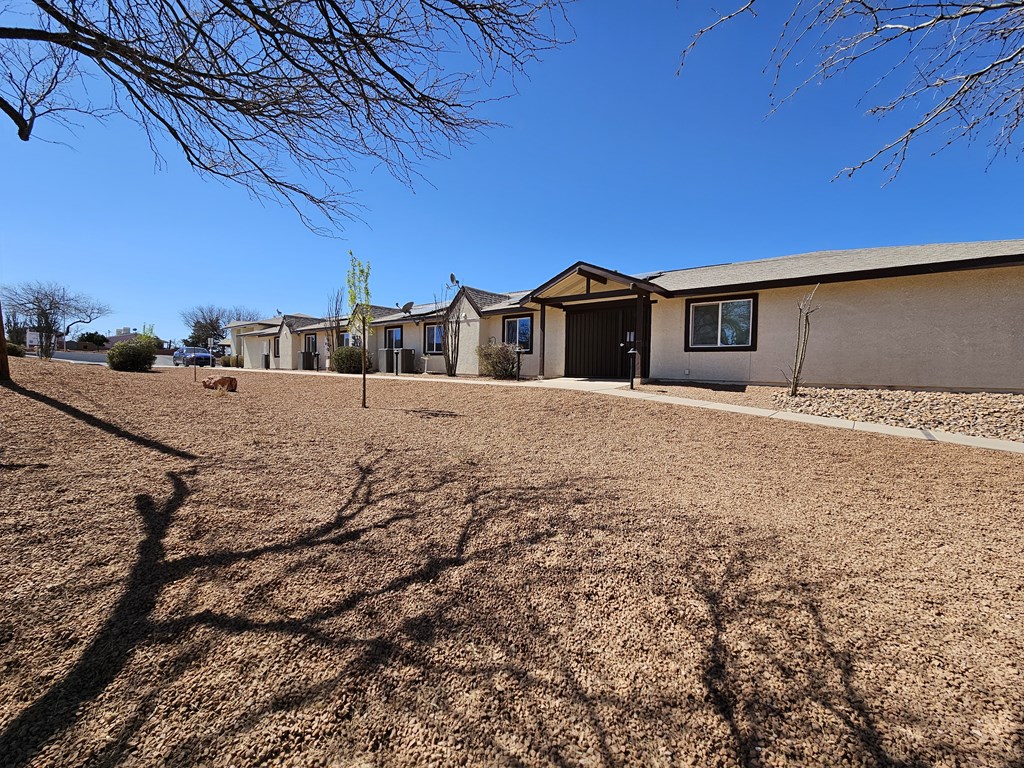 A row of houses with bare trees in front of them.