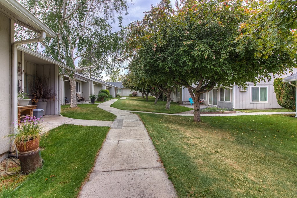 A tree-lined pathway leads through a grassy area between two rows of houses.