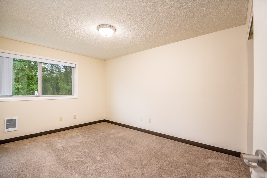 A room with a window and a carpeted floor.