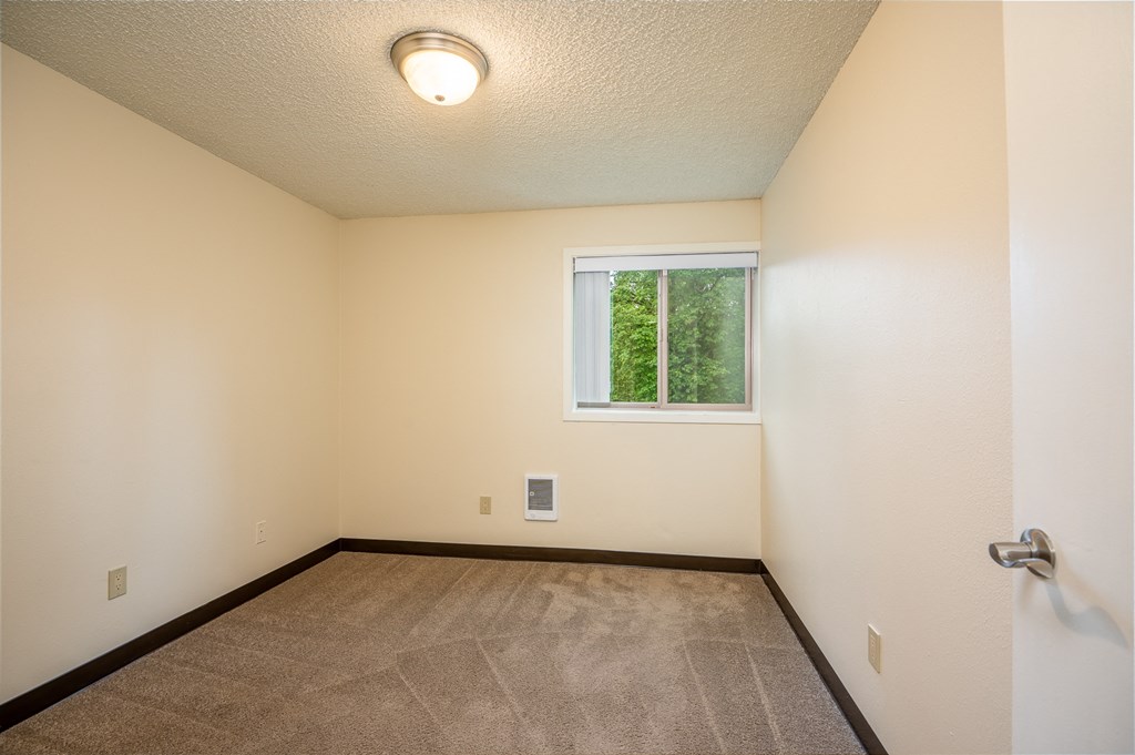 A room with a window and a carpeted floor.