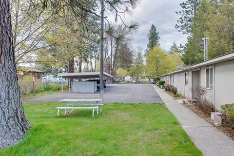 A park with a bench and a pathway.